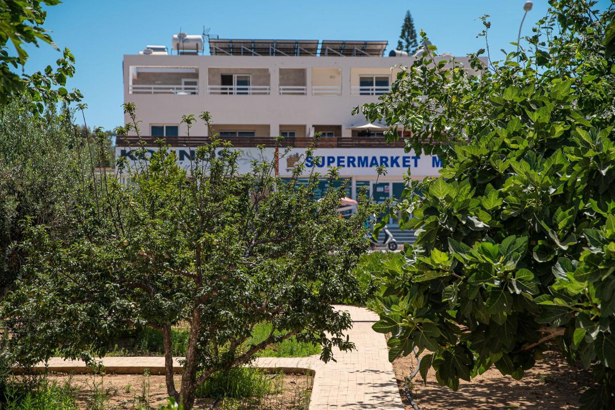 Konnos Villa Ekaterina Протарас Экстерьер фото