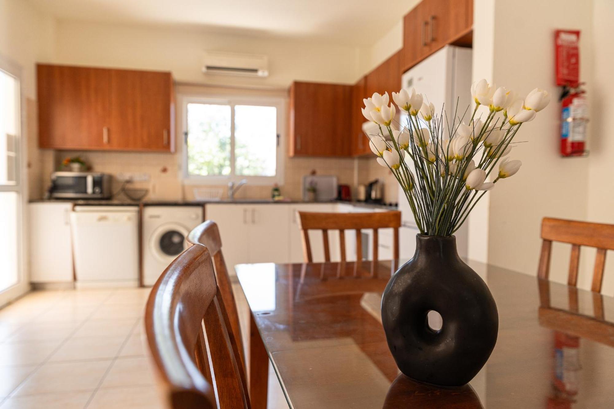 Konnos Villa Ekaterina Протарас Экстерьер фото